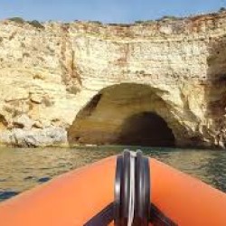 EcoExplorer – наблюдение на морски бозайници в район Алгарве, Португалия