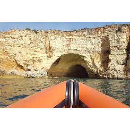 EcoExplorer – наблюдение на морски бозайници в район Алгарве, Португалия
